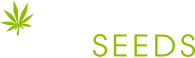 Ace Seeds
