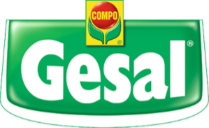 Gesal