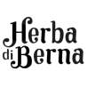 Herba di Berna